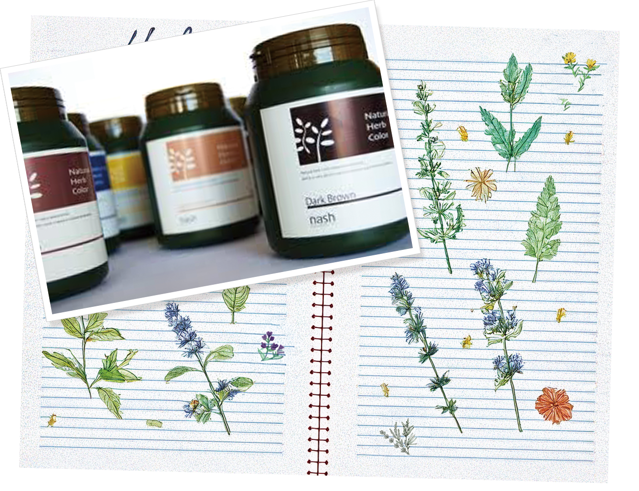 ナチュラルハーブカラー